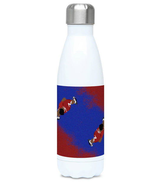 Insulated boxing bottle "Boxing view from above" - ​​Customizable